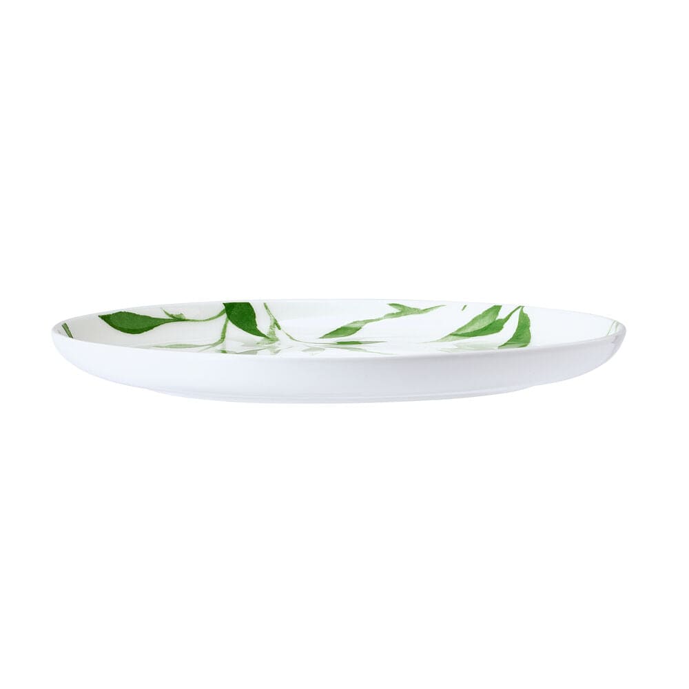 Akira Vegan Bone™ Set of 4 Salad Plates