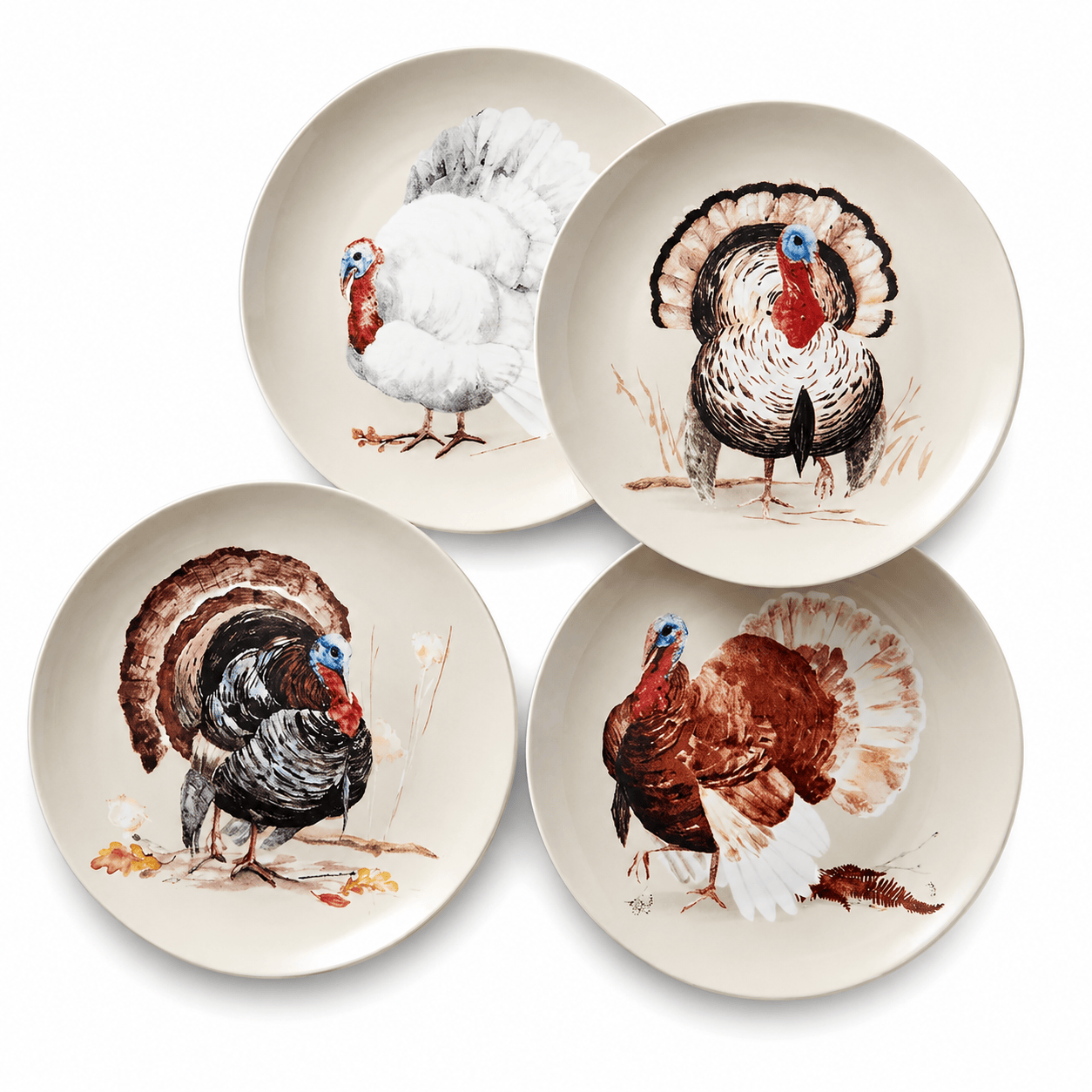 Fall Feathers Set of 4 Salad Plates
