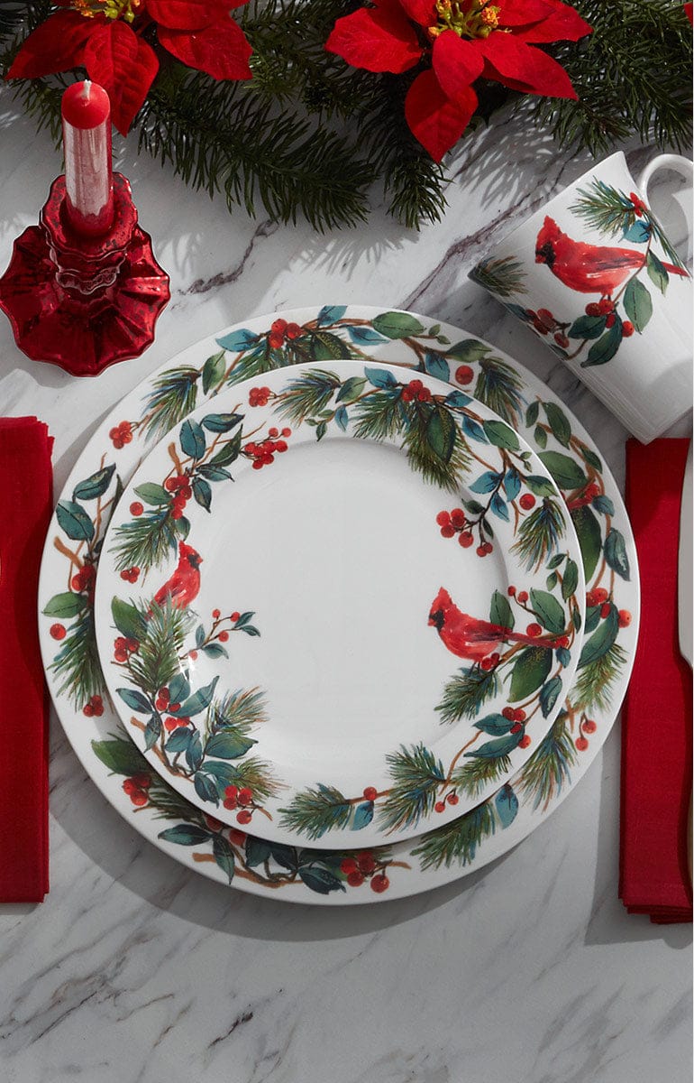 Shop Winter Cardinal