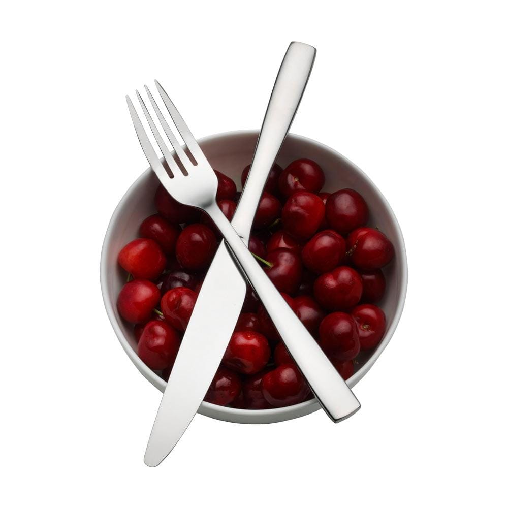 Delano Forged 20 Piece Flatware Set, Service for 4