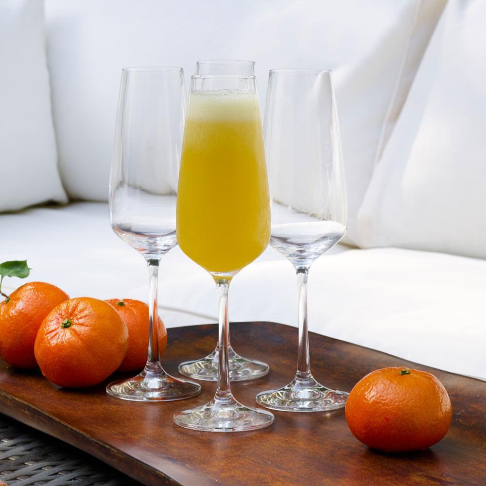 Melody Set of 4 Champagne Flute Glasses