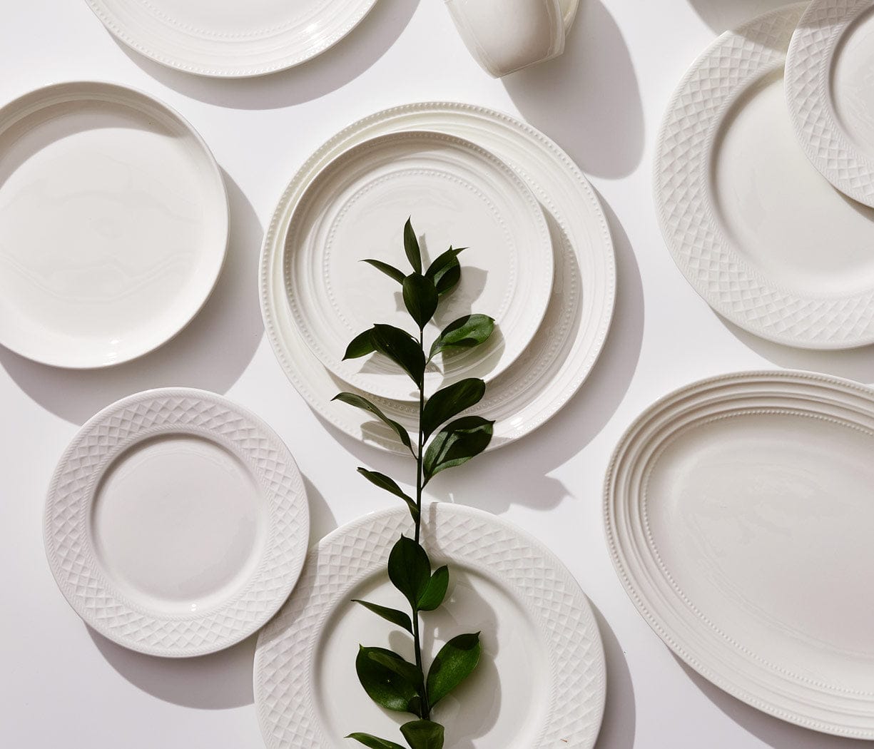 Shop Vegan Bone China
