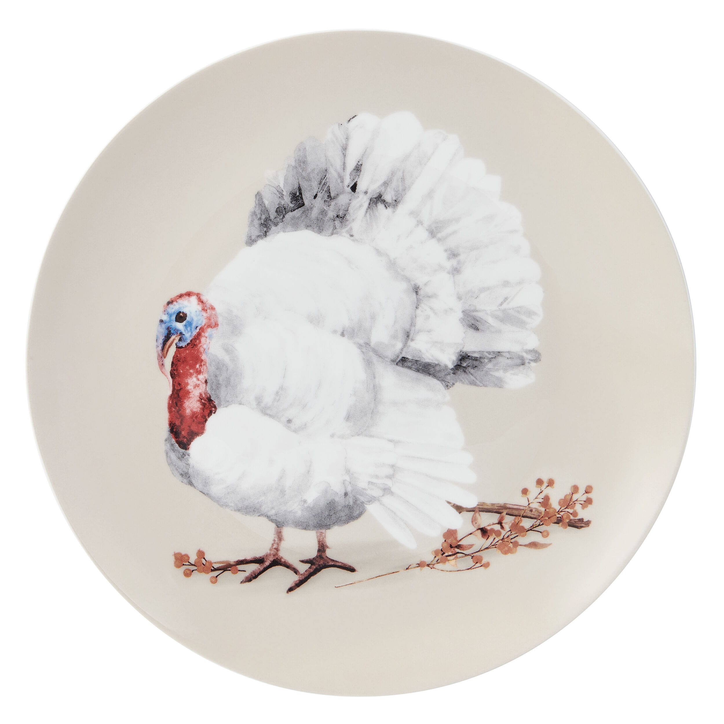 Fall Feathers Set of 4 Salad Plates