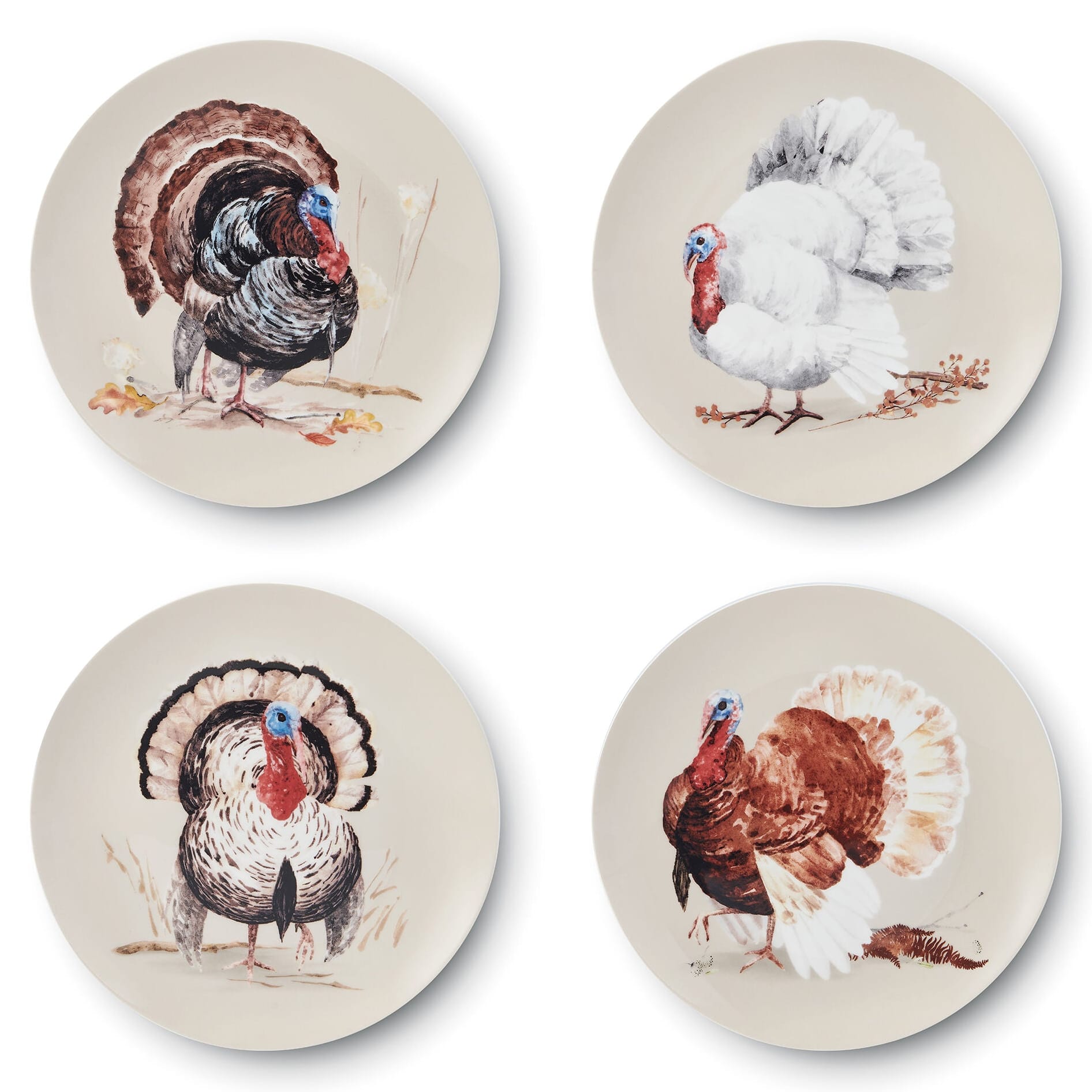 Fall Feathers Set of 4 Salad Plates